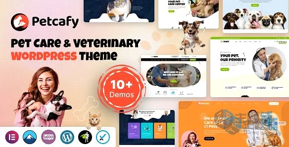 Petcafy-WordPress宠物护理和宠物商店主题-主题铺