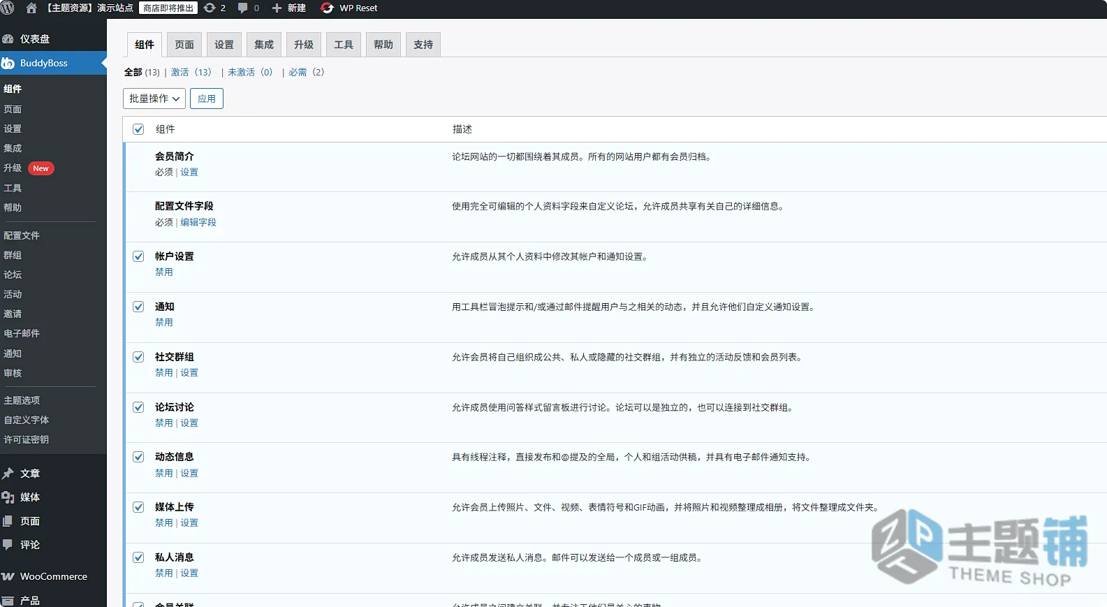 图片[9]-BuddyBoss合集完美汉化中文版(更新到2.20.0)-WordPress在线学习问答社区论坛社交主题下载-主题铺