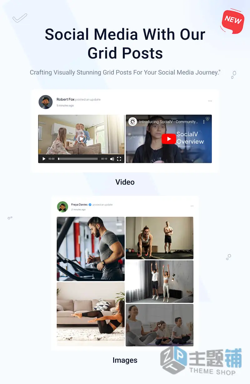 图片[3]-SocialV英文专业版(更新到2.1.3)-社交网络及BuddyPress论坛主题下载-主题铺