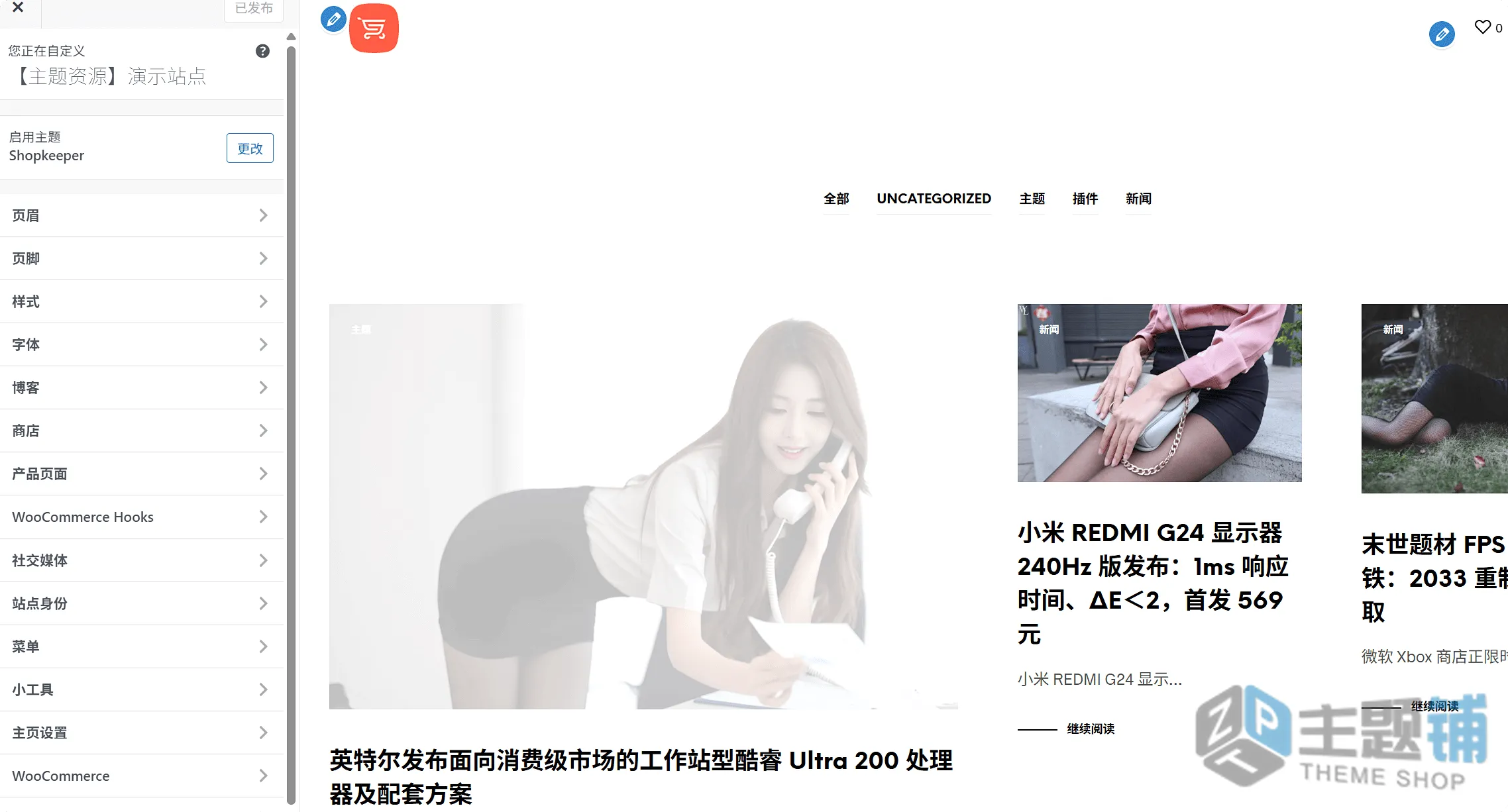 图片[9]-Shopkeeper汉化中文版(更新到8.4)-轻量WooCommerce WordPress响应式主题下载-主题铺
