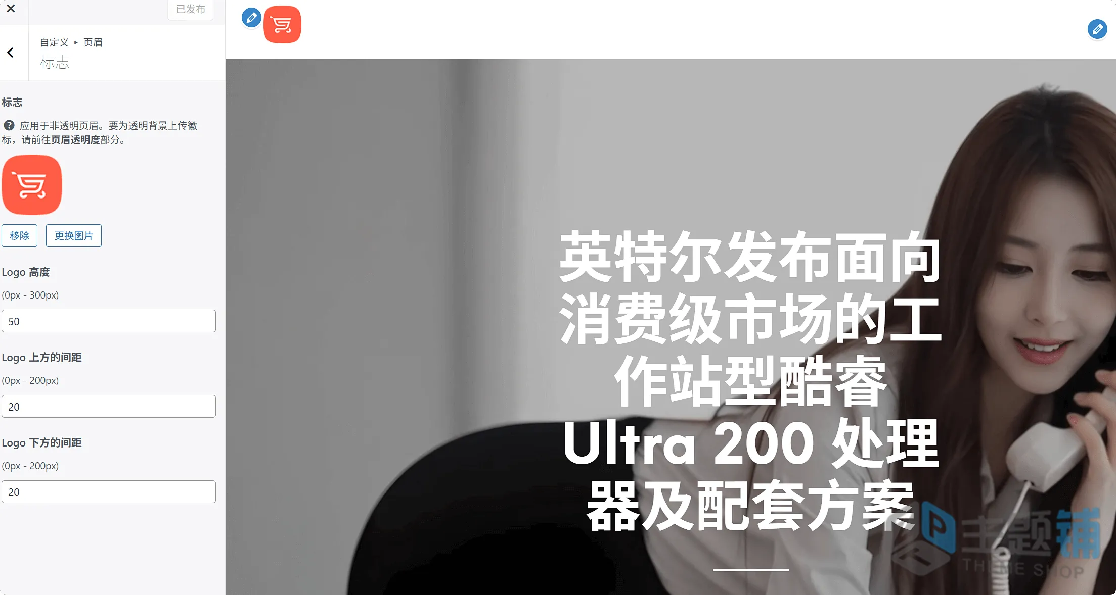 图片[11]-Shopkeeper汉化中文版(更新到8.4)-轻量WooCommerce WordPress响应式主题下载-主题铺