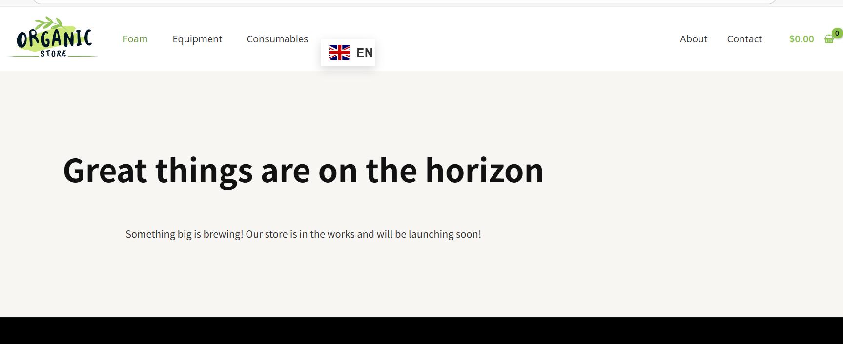 WordPress网站提示“Great things are on the horizon Something big is brewing! Our store …”看不到任何产品的解决办法-主题铺