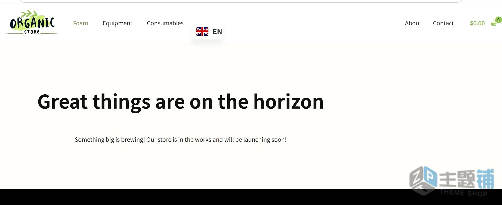 图片[1]-WordPress网站提示“Great things are on the horizon Something big is brewing! Our store …”看不到任何产品的解决办法-主题铺