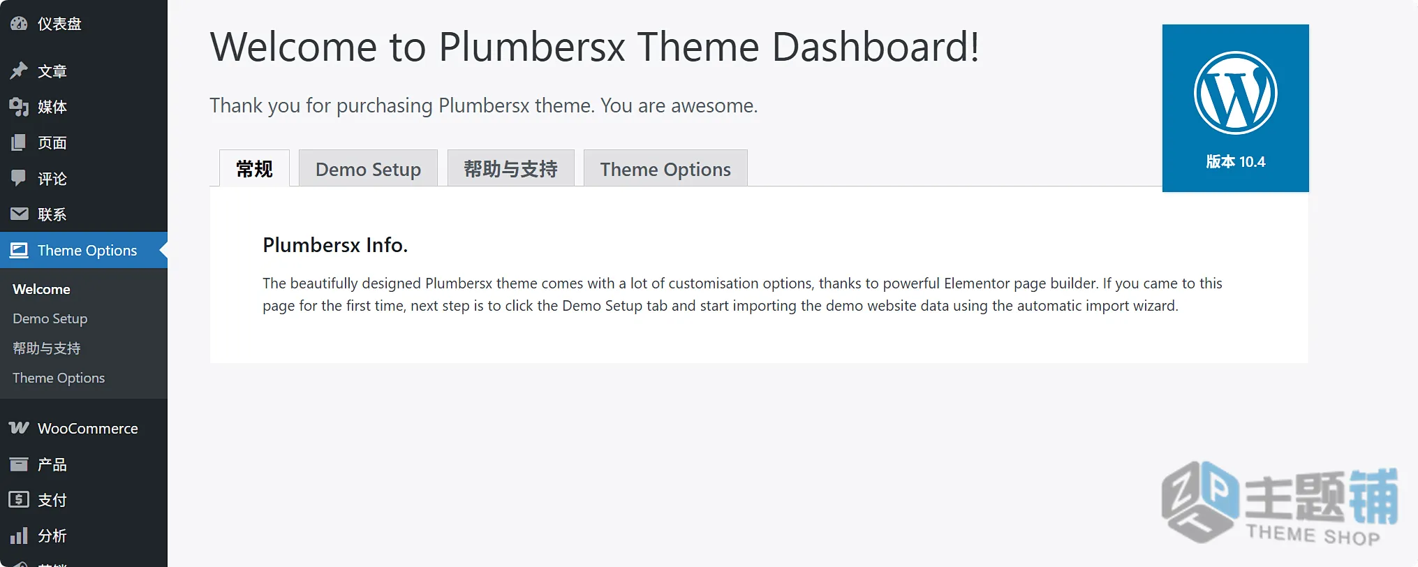 图片[4]-Plumber汉化中文版-房屋水电维修WordPress家政主题下载-主题铺