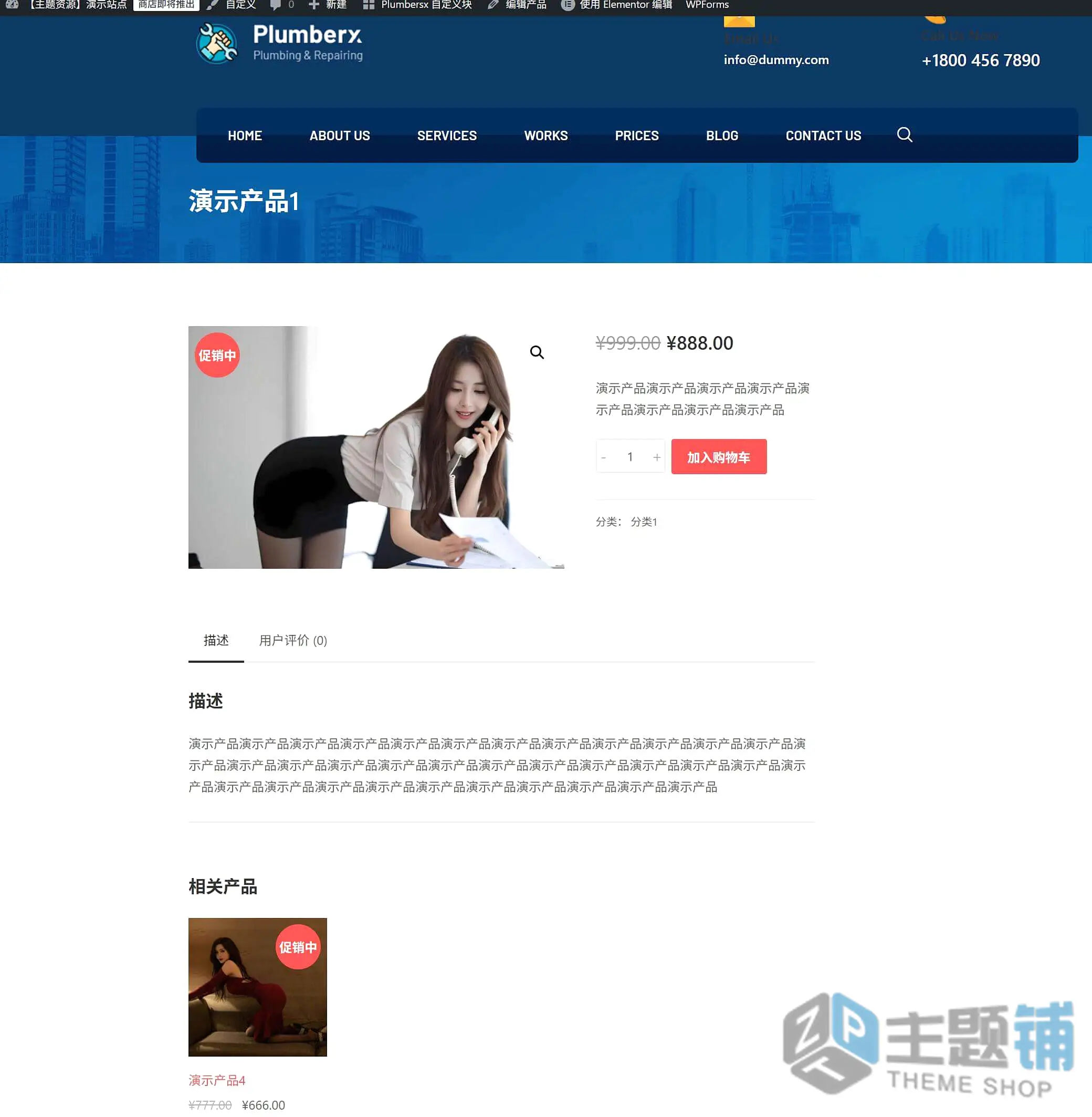 图片[12]-Plumber汉化中文版-房屋水电维修WordPress家政主题下载-主题铺
