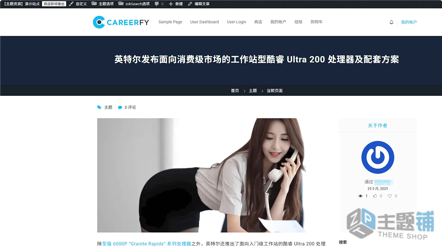 图片[13]-Careerfy汉化中文版(更新到10.3.5)-工作公告板WordPress招聘求职主题下载-主题铺