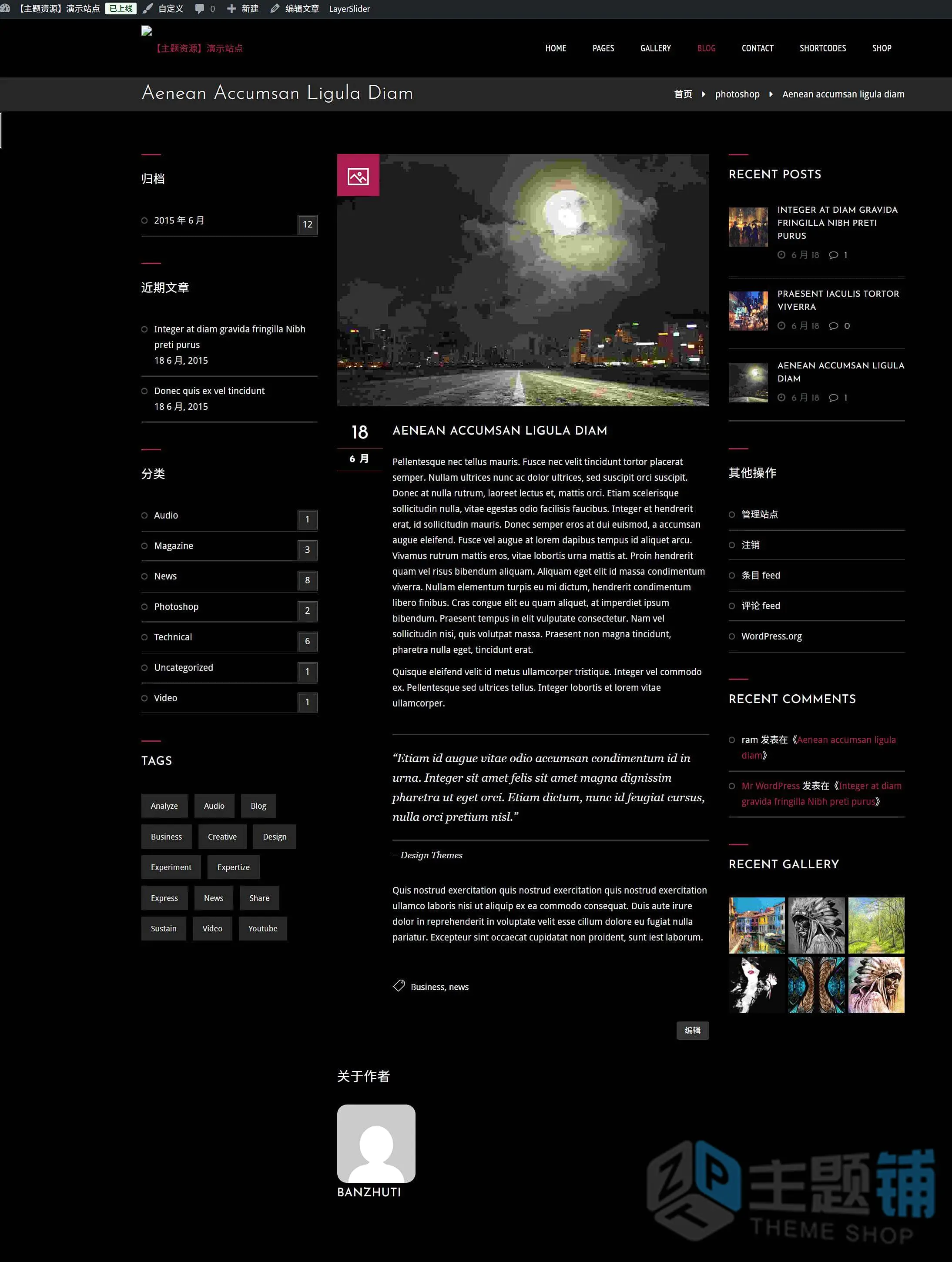 图片[9]-Red Art汉化中文版-艺术作品组合展示WordPress摄影主题下载-主题铺