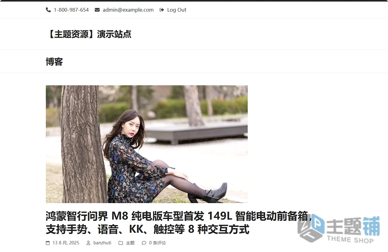 图片[18]-Total汉化中文版(更新到6.6)-现代响应式WordPress多功能主题下载-主题铺