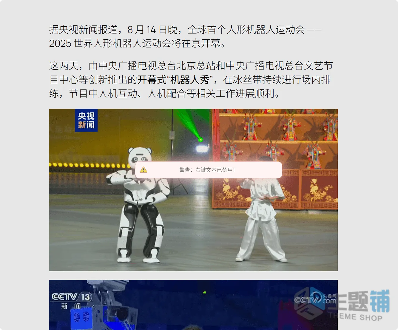 图片[15]-WP Content Copy Protection&No Right Click PRO汉化中文版(更新到 17.0)-网站内容保护WordPress防复制插件下载-主题铺