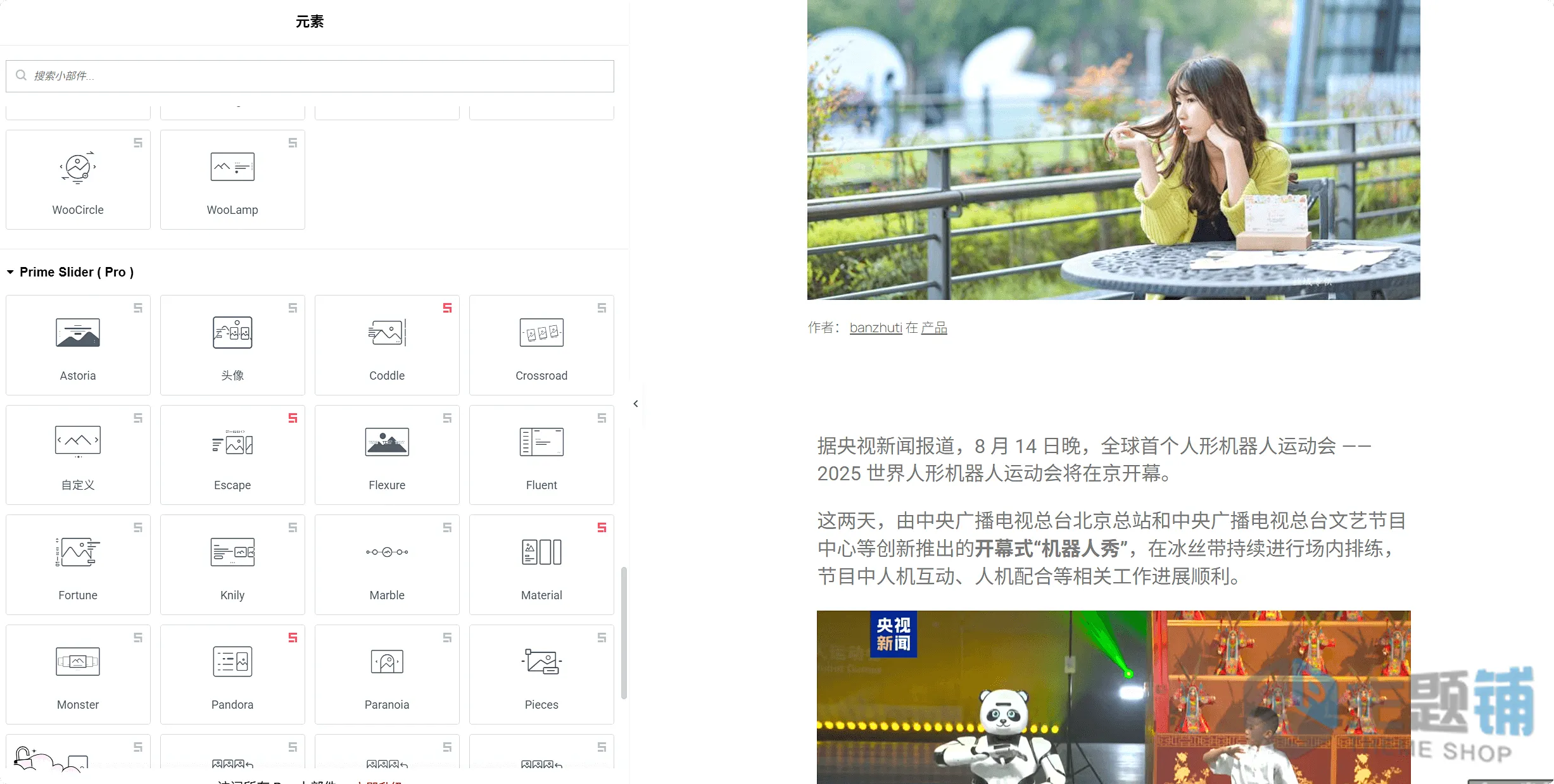 图片[10]-Prime Slider Pro汉化中文版(更新到4.0.5)-Elementor扩展工具WordPress幻灯片插件下载-主题铺