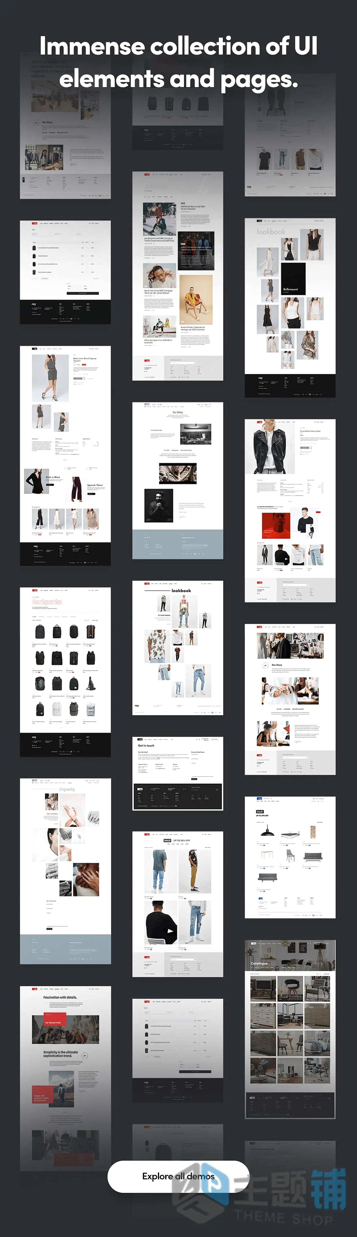 图片[2]-Rey完美汉化中文版(更新到3.1.11)-艺术时尚WooCommerce WordPress服装家具主题下载-主题铺