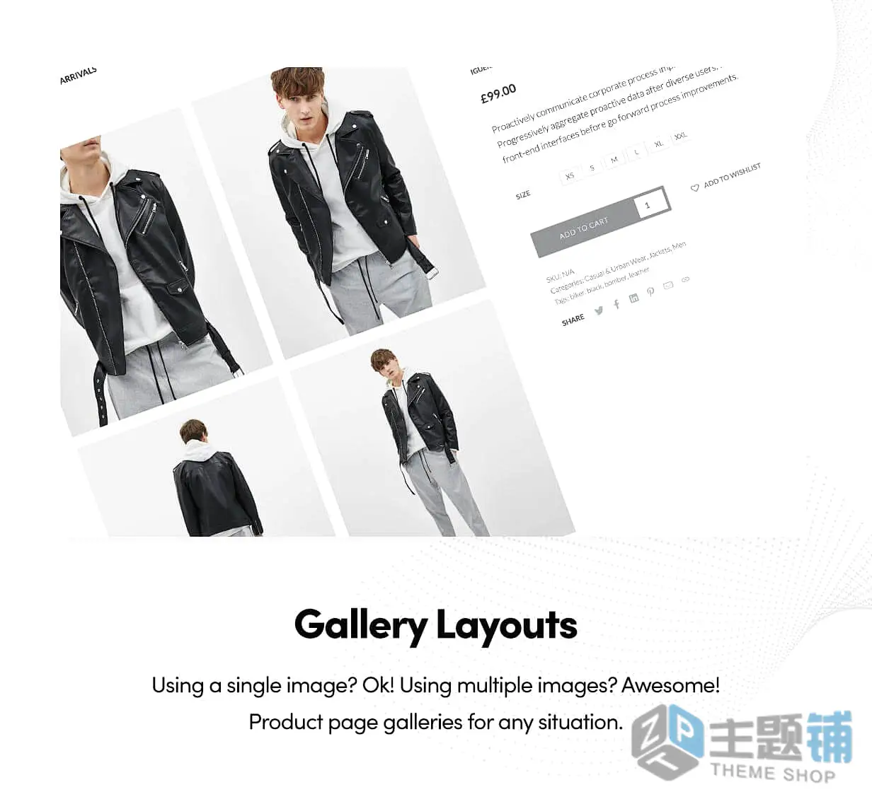 图片[6]-Rey完美汉化中文版(更新到3.1.11)-艺术时尚WooCommerce WordPress服装家具主题下载-主题铺