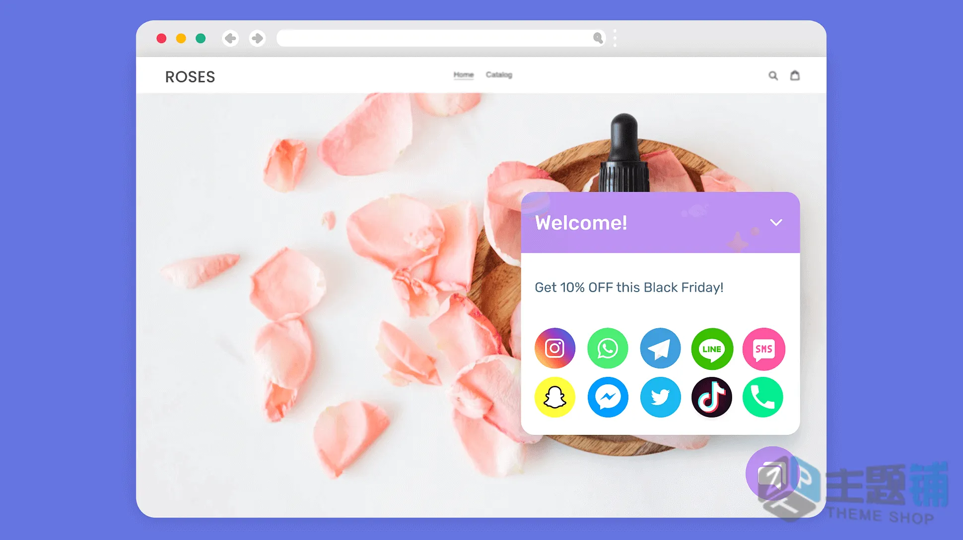 图片[3]-Chaty Pro汉化中文版(更新到3.5.4)-WhatsApp/TikTok/邮件WordPress浮动聊天小工具插件下载-主题铺