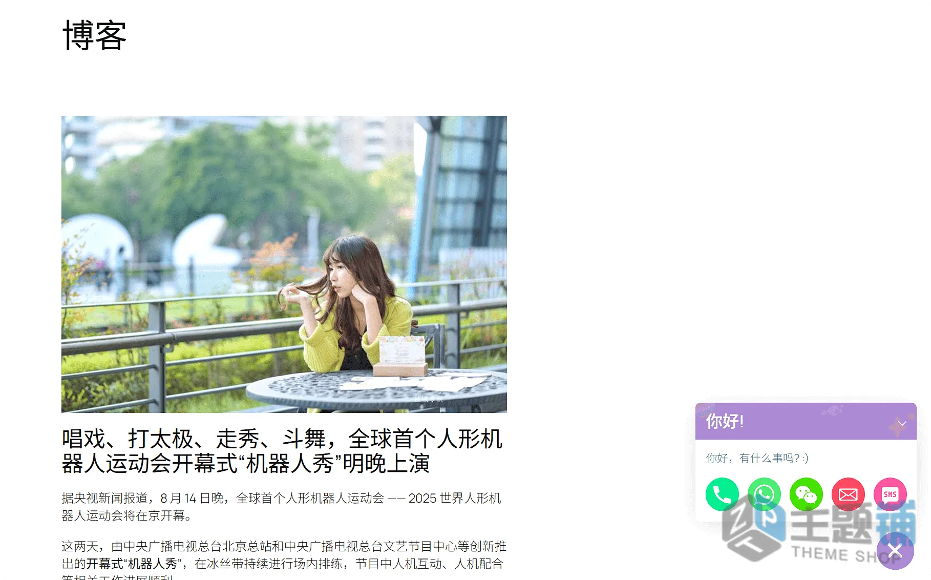 图片[10]-Chaty Pro汉化中文版(更新到3.5.4)-WhatsApp/TikTok/邮件WordPress浮动聊天小工具插件下载-主题铺