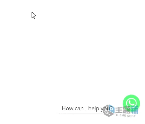 图片[2]-Chaty Pro汉化中文版(更新到3.5.4)-WhatsApp/TikTok/邮件WordPress浮动聊天小工具插件下载-主题铺
