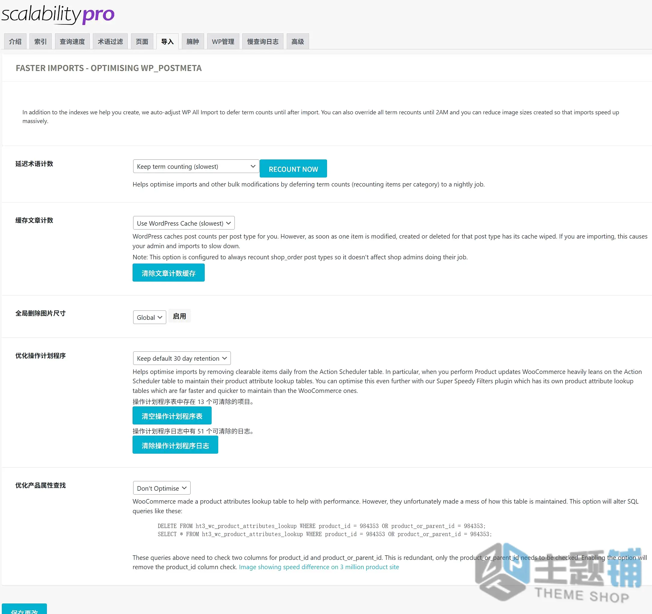 图片[6]-Scalability Pro汉化中文版(已更新到6.20.1)-网站加速WordPress优化插件下载-主题铺