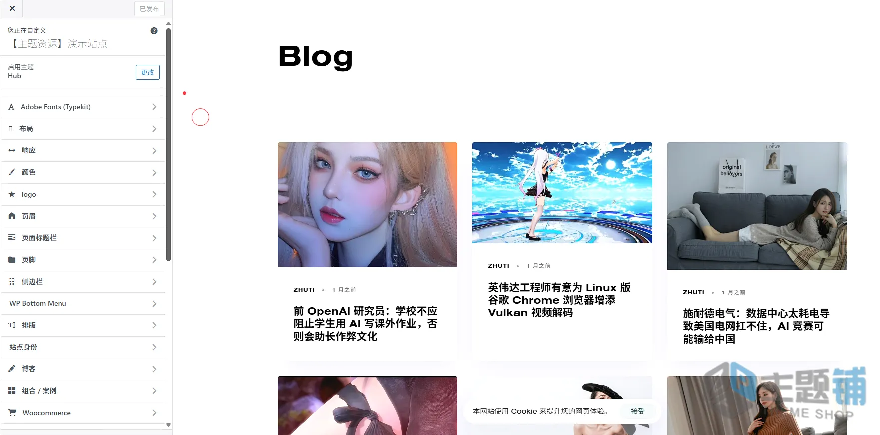 图片[14]-Hub汉化中文版(更新到6.0.2)-多功能WordPress可视化自定义主题下载-主题铺