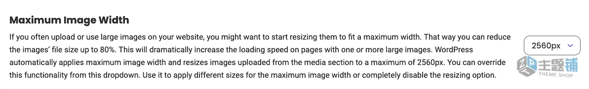 图片[35]-WordPress优化插件Speed Optimizer插件的优化加速设置图文教程-主题铺