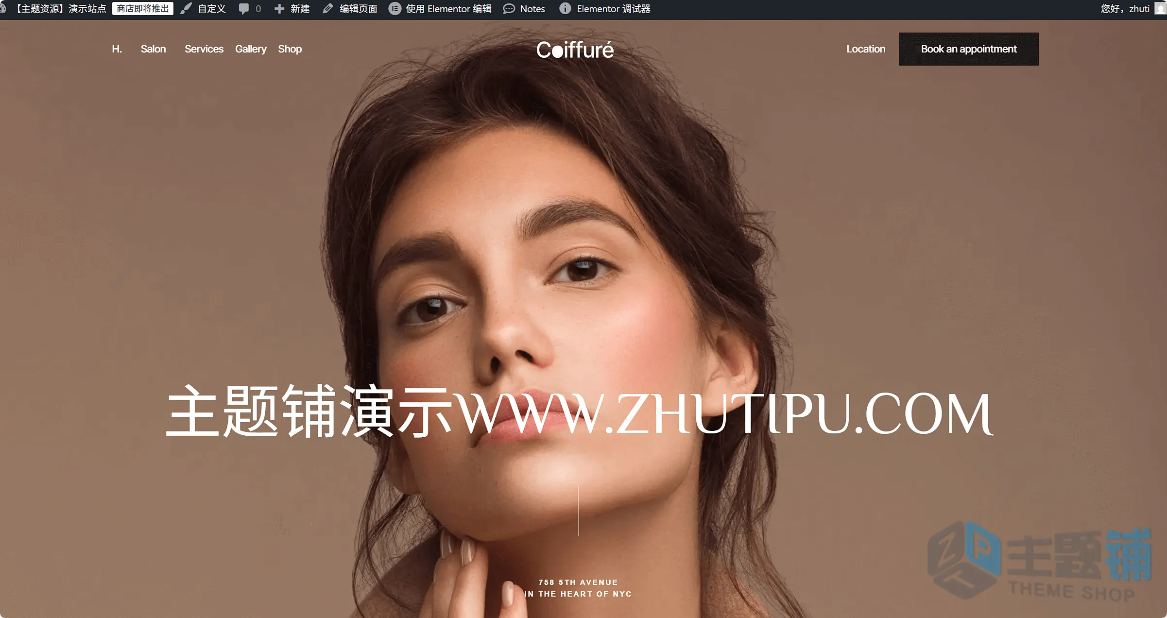 图片[8]-Coiffure汉化中文版(更新到25)-自定义设计WordPress美容美发主题下载-主题铺