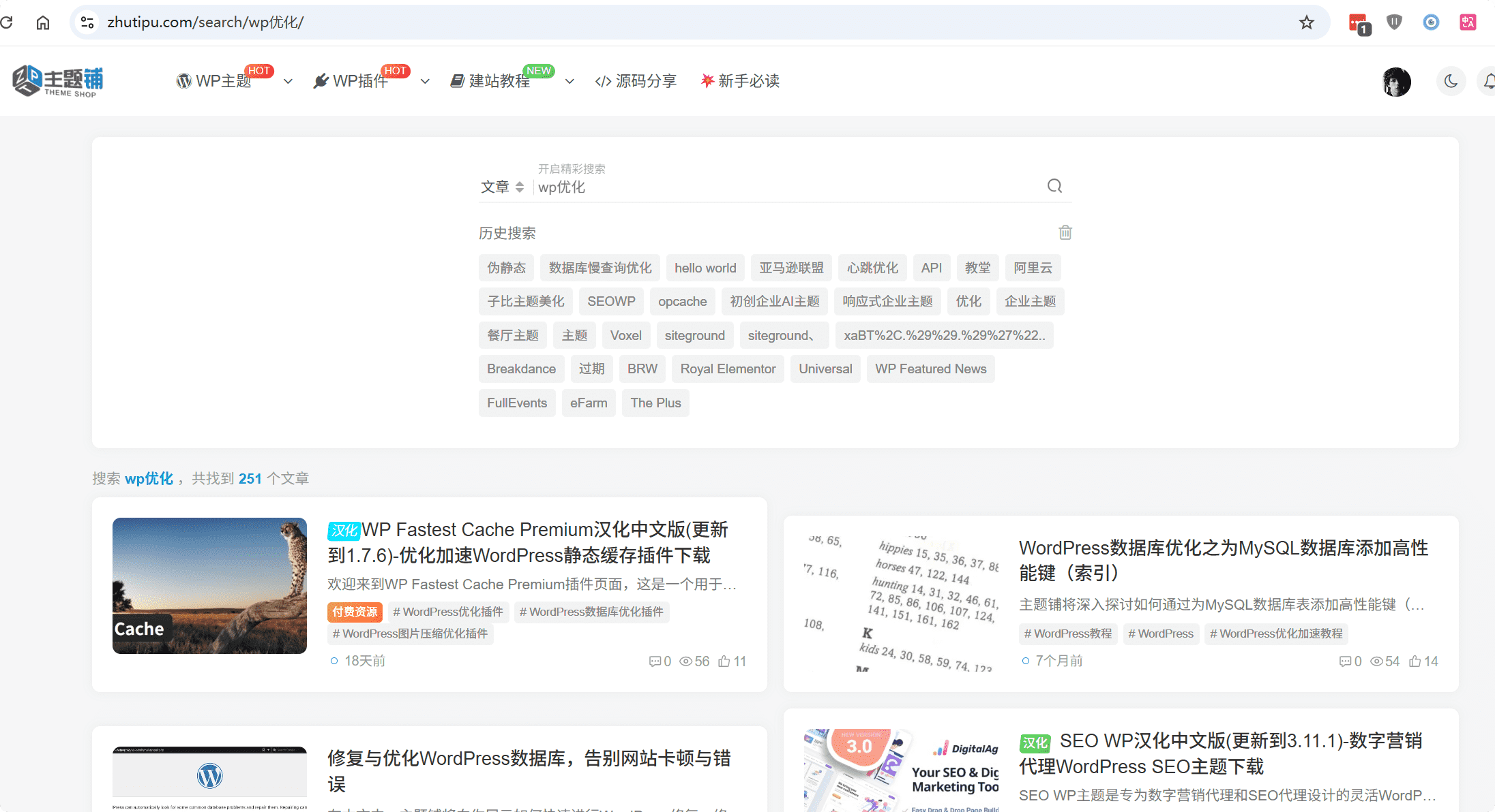WordPress搜索链接伪静态SEO优化教程 提升用户体验-主题铺