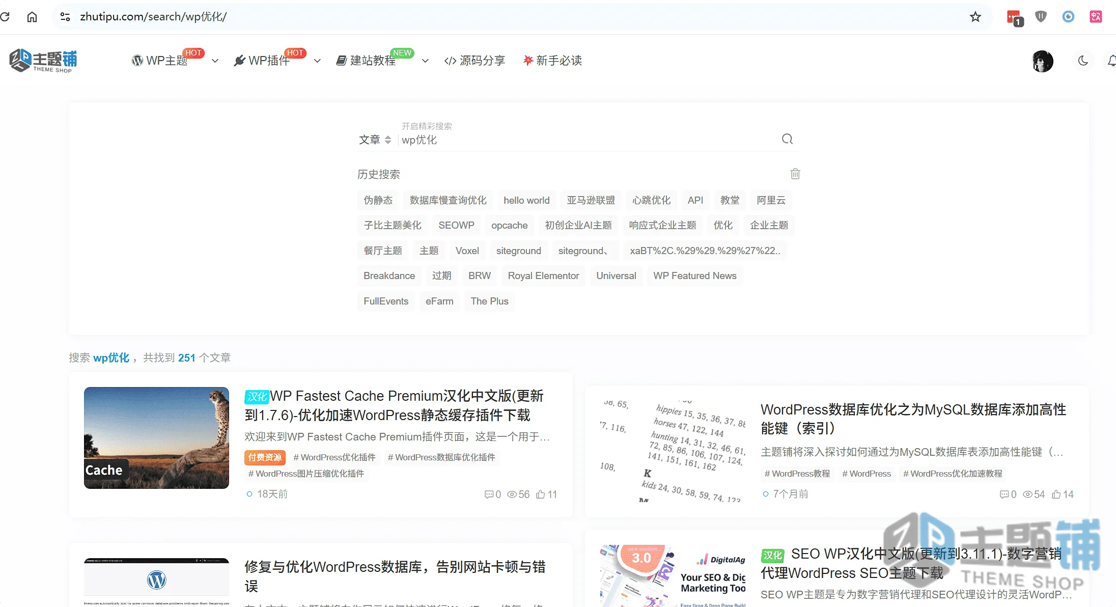 图片[1]-WordPress搜索链接伪静态SEO优化教程 提升用户体验-主题铺