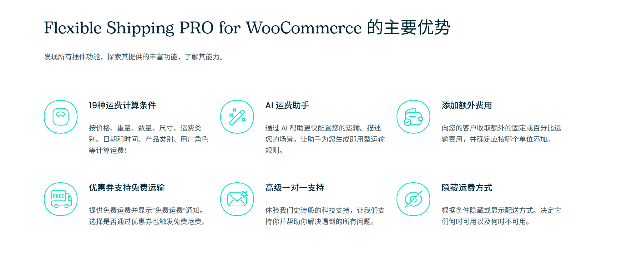 图片[2]-Flexible Shipping Pro汉化中文版|配送运输WooCommerce运费计算插件介绍-搬主题