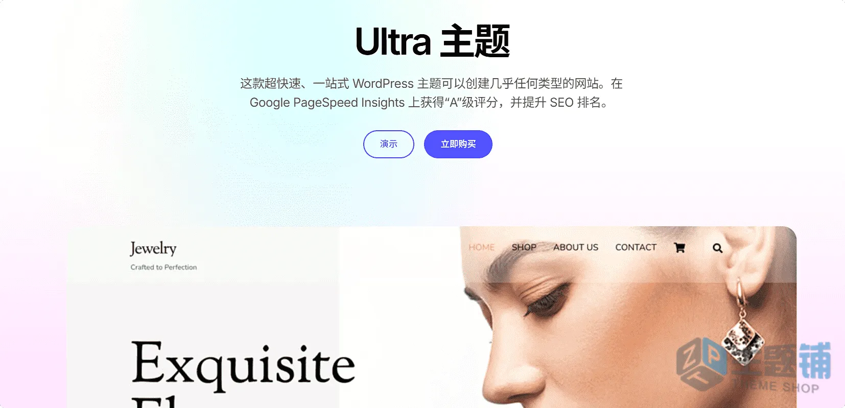 图片[1]-Themify Ultra汉化中文版(更新到8.1.0)-多用途自定义设计WordPress轻量主题下载-主题铺