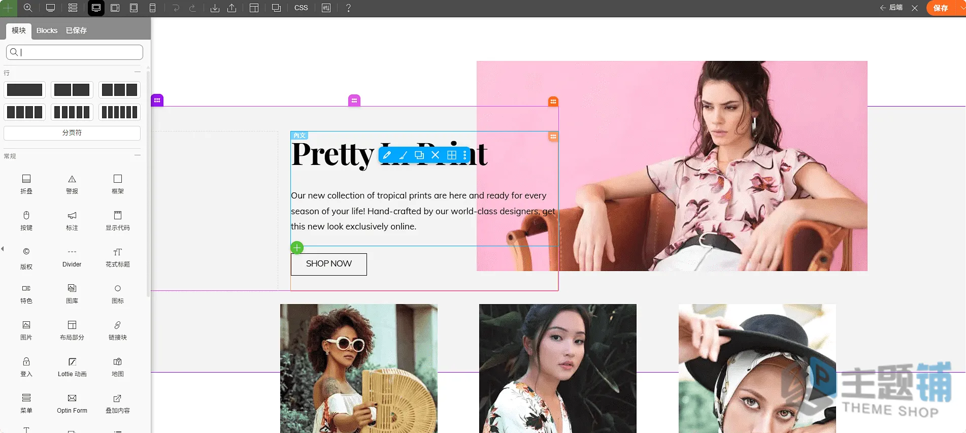 图片[11]-Themify Ultra汉化中文版(更新到8.1.0)-多用途自定义设计WordPress轻量主题下载-主题铺