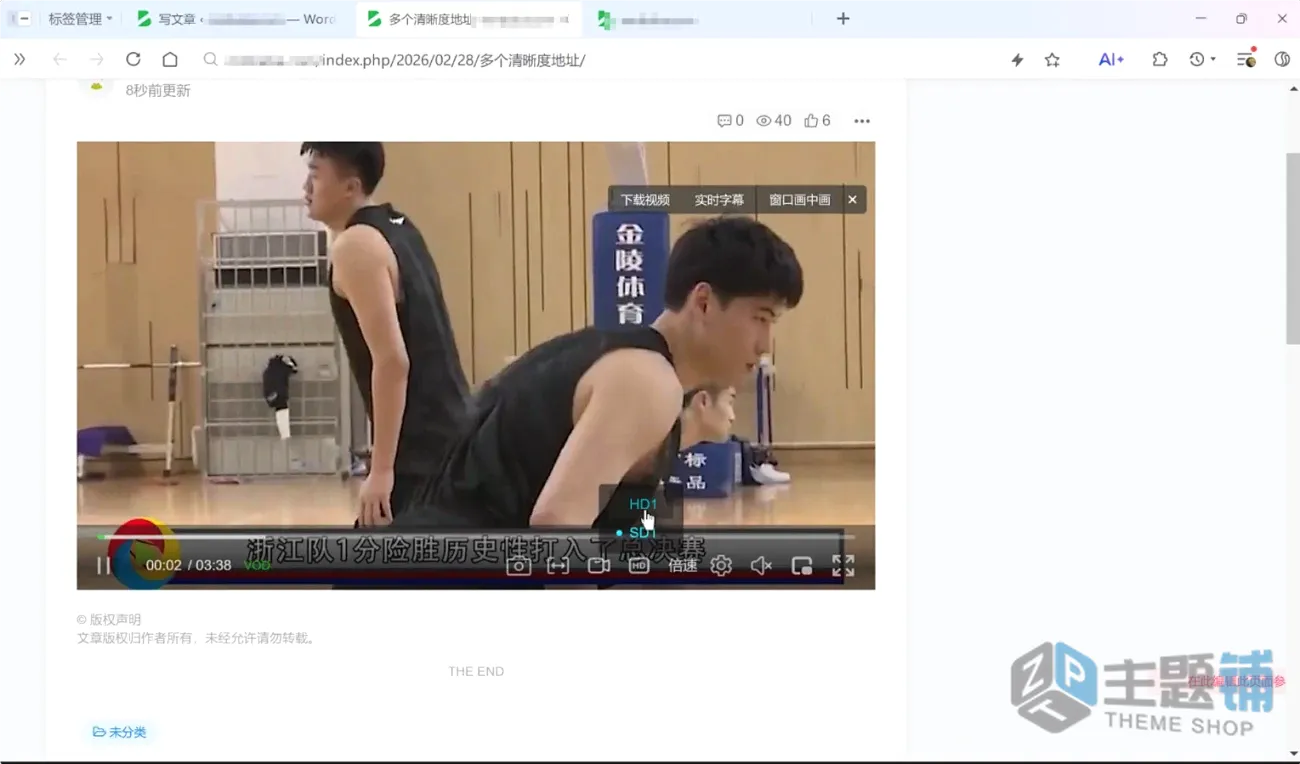 图片[3]-ZWPlayer 2.0专业版-网页视频WordPress播放器插件下载-主题铺