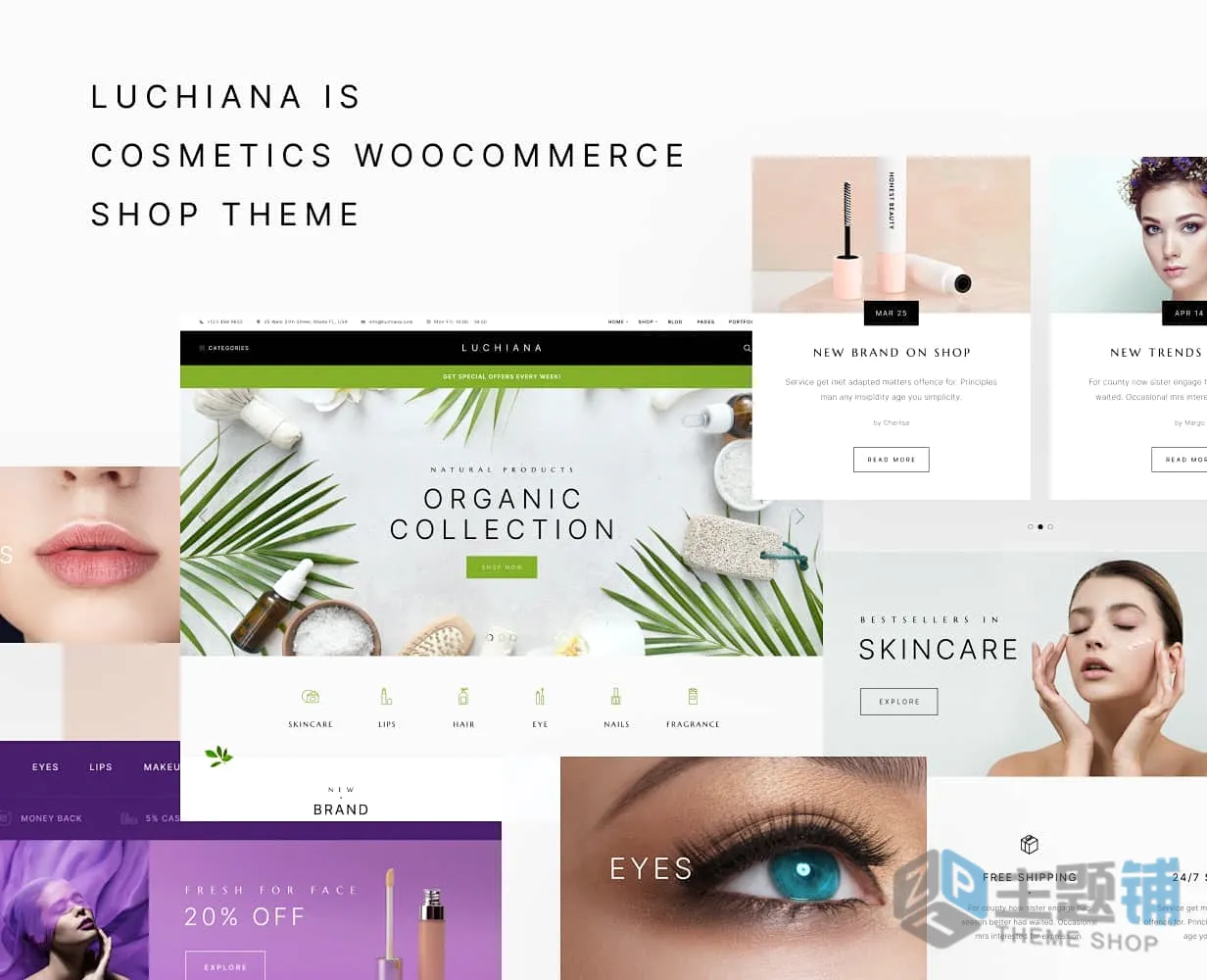 图片[1]-Luchiana汉化中文版(更新到5.11)-WooCommerce WordPress美容主题下载-主题铺