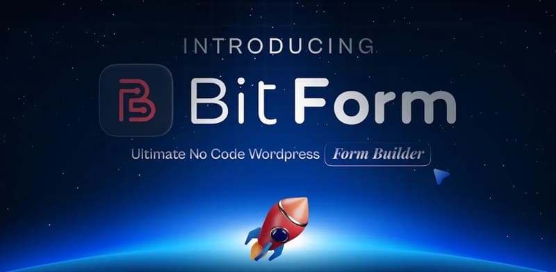 Bit Form Pro汉化中文版(更新到2.14.2)-自定义WordPress表单生成器插件下载-主题铺