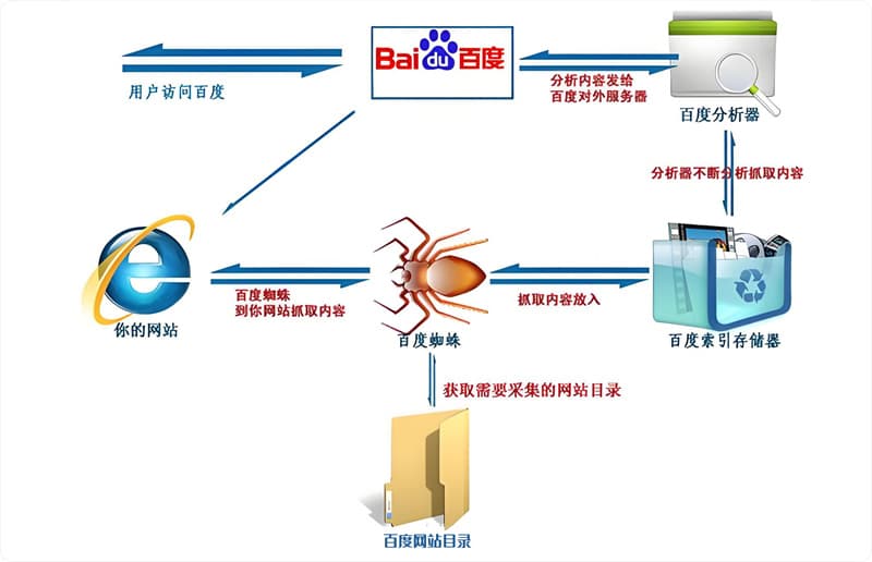百度蜘蛛全解析:普通蜘蛛与渲染蜘蛛详解及SEO优化实战-主题铺