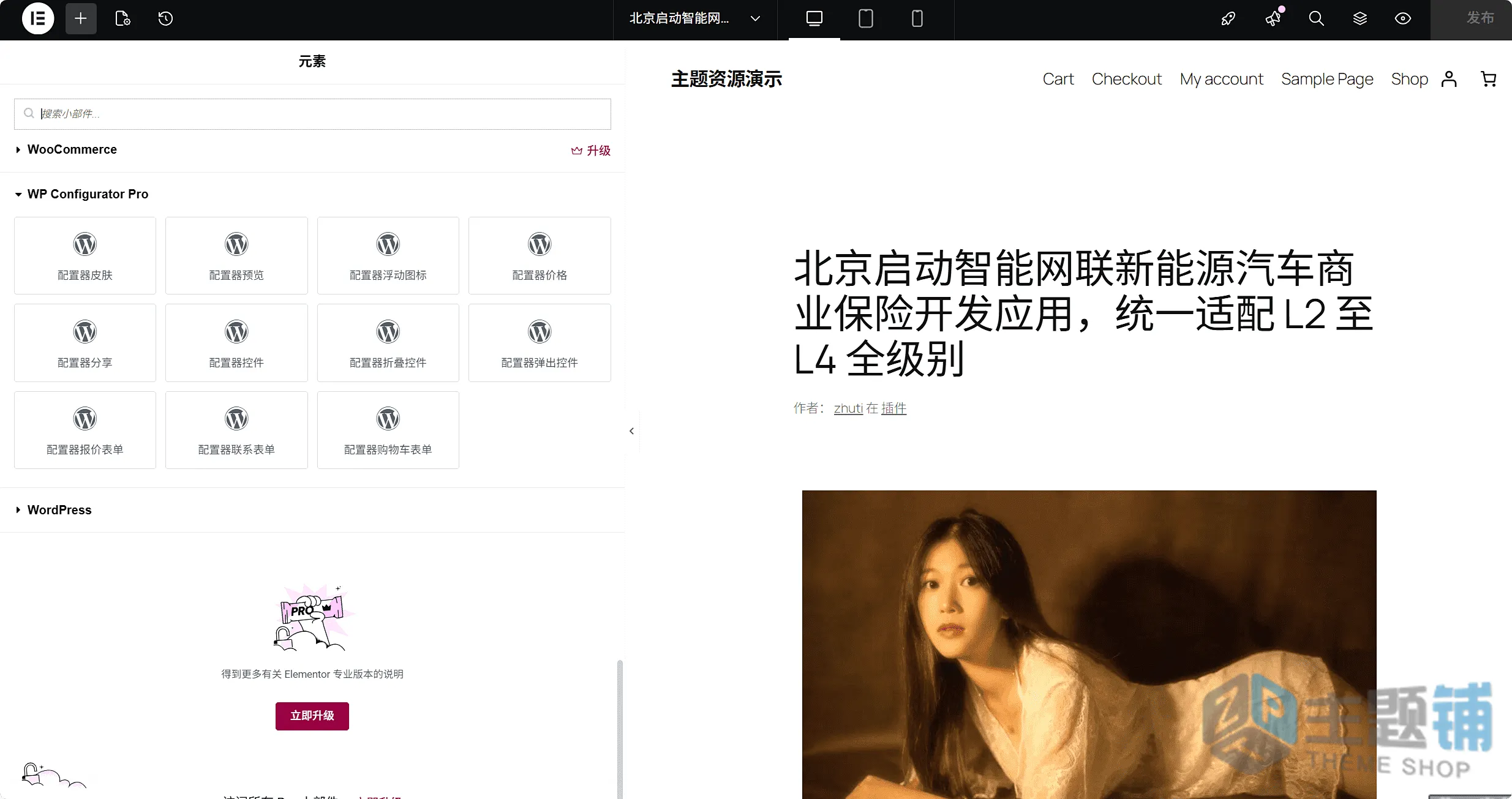 图片[11]-WP Configurator Pro汉化中文版(更新到3.8.0)-WooCommerce产品自定义插件下载-主题铺
