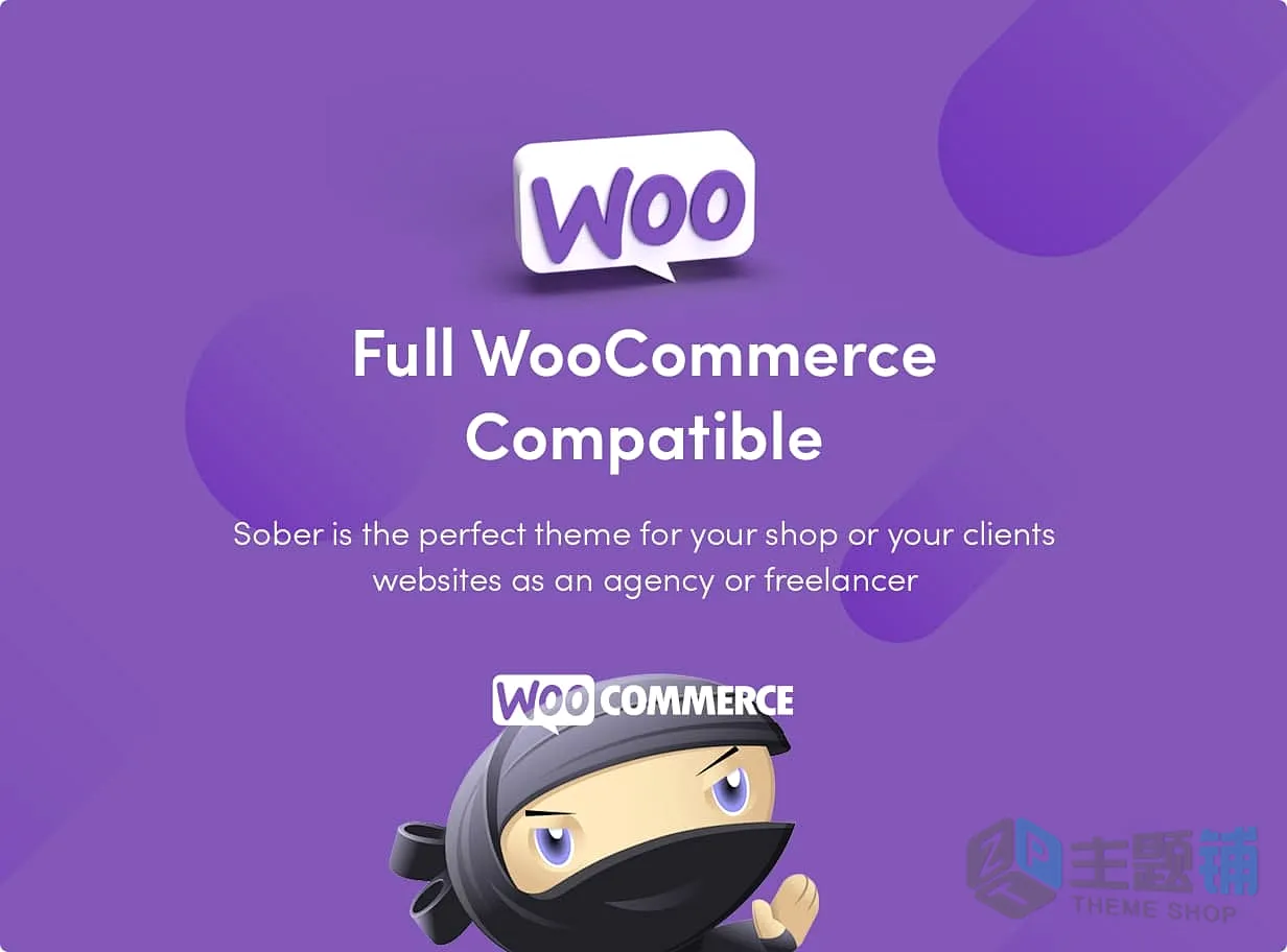 图片[3]-Sober汉化中文版(更新到3.6.3)-时尚服饰WooCommerce WordPress主题下载-主题铺