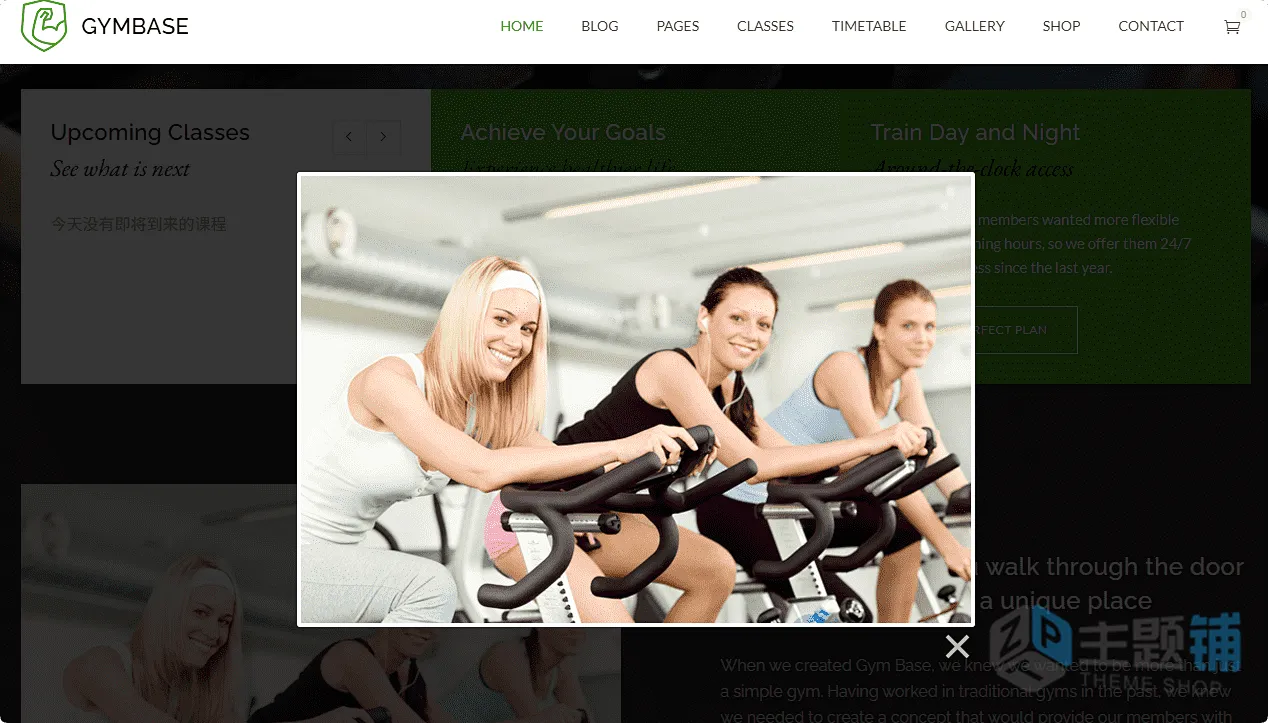 图片[11]-GymBase汉化中文版(更新到16.2)-WordPress健美健身主题下载-主题铺