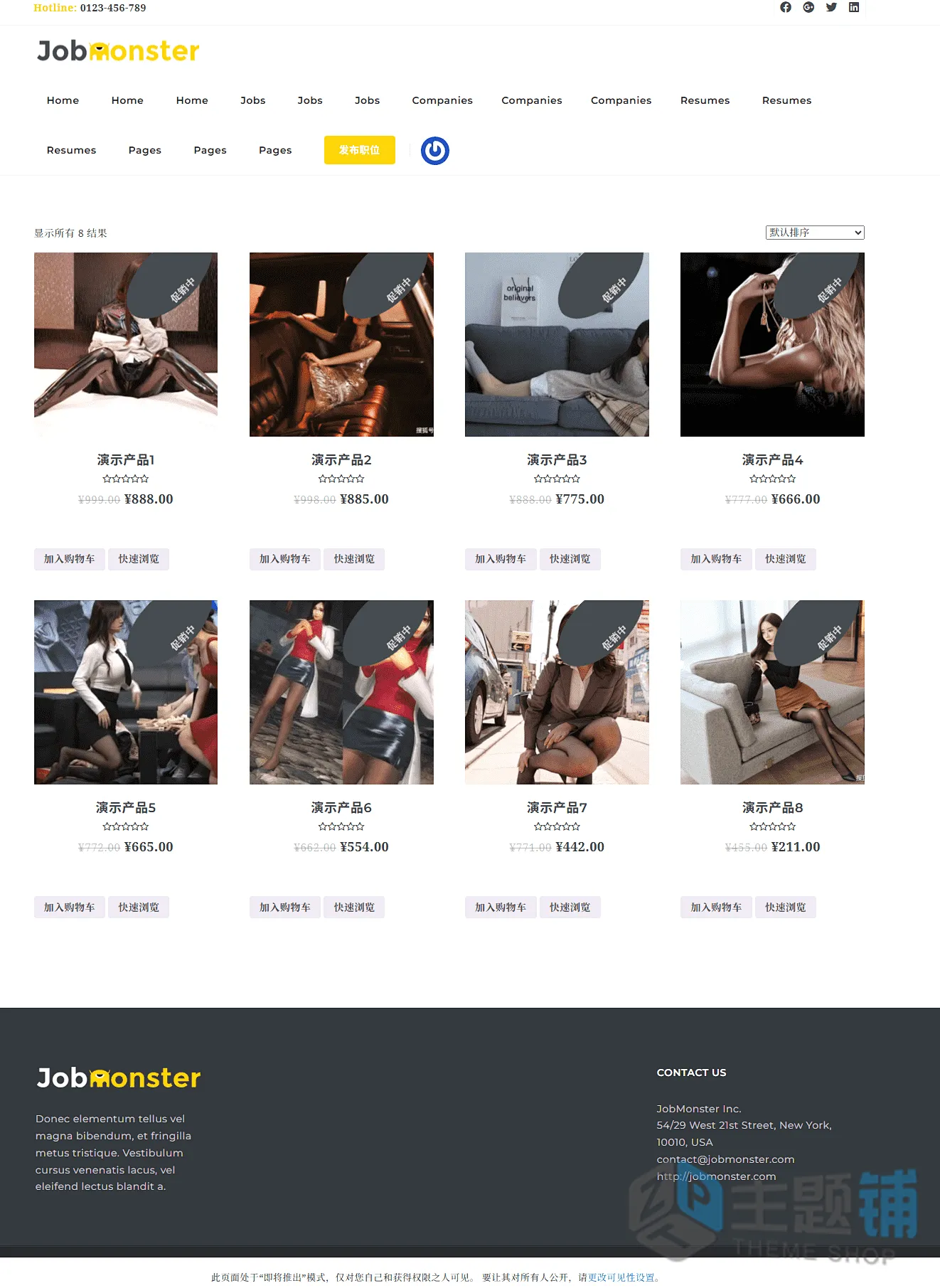 图片[15]-JobMonster汉化中文版(更新到4.8.6)-工作面板WordPress招聘主题下载-主题铺