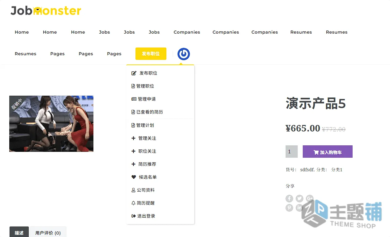 图片[16]-JobMonster汉化中文版(更新到4.8.6)-工作面板WordPress招聘主题下载-主题铺