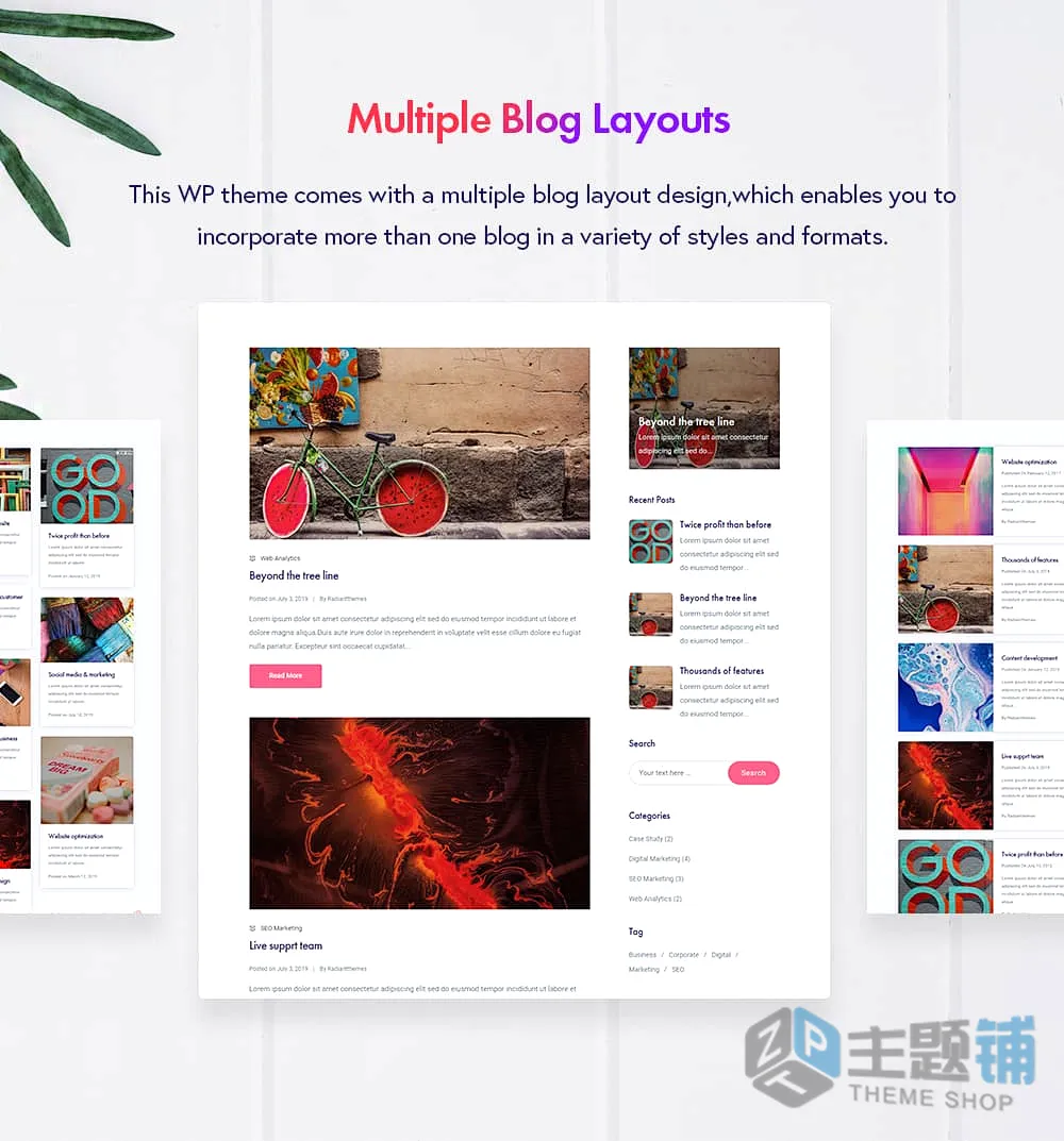 图片[6]-Ryse汉化中文版(更新到5.0)-WordPress SEO数字市场主题下载-主题铺