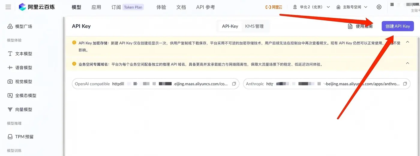 阿里云百炼按量付费API Key获取及TokenPlan和Coding Plan密钥获取教程-主题铺
